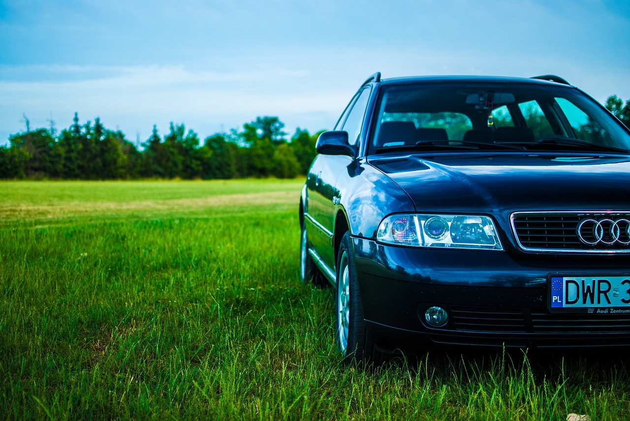 汽車(chē)雞汽車(chē)，未來(lái)交通與養(yǎng)殖創(chuàng)新融合之道